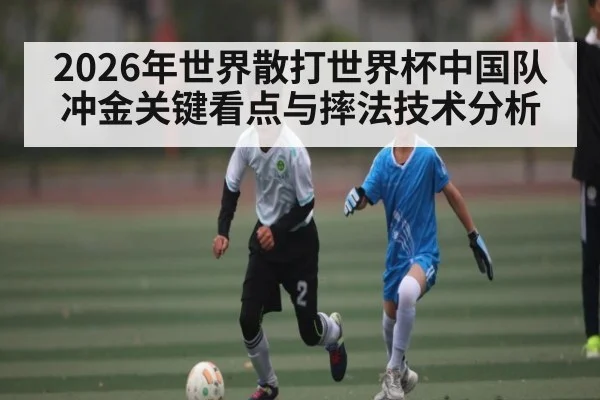 2026年世界散打世界杯中国队冲金关键看点与摔法技术分析